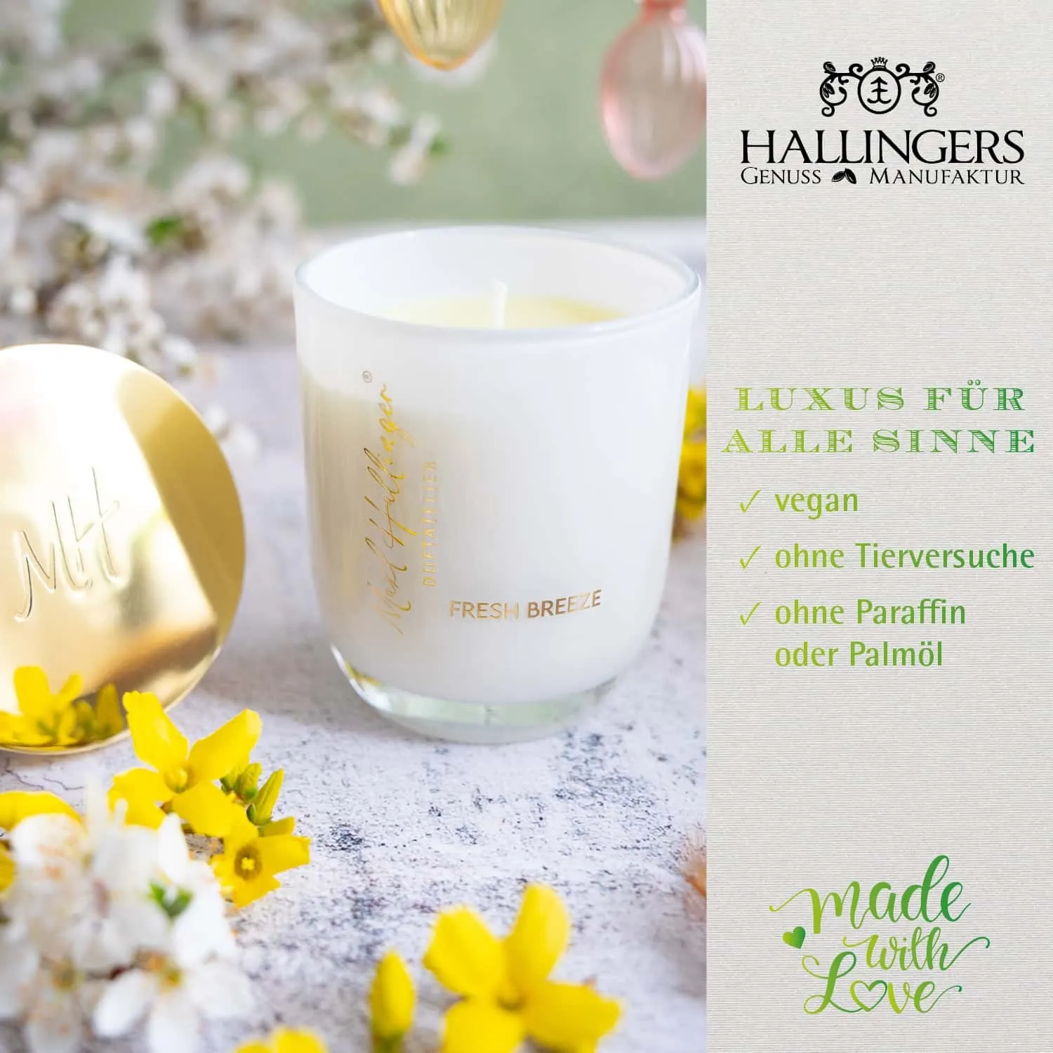 Wir nehmen Sie mit auf eine unvergessliche Reise in die fantastische, aromatische Welt der Duftkerzen.