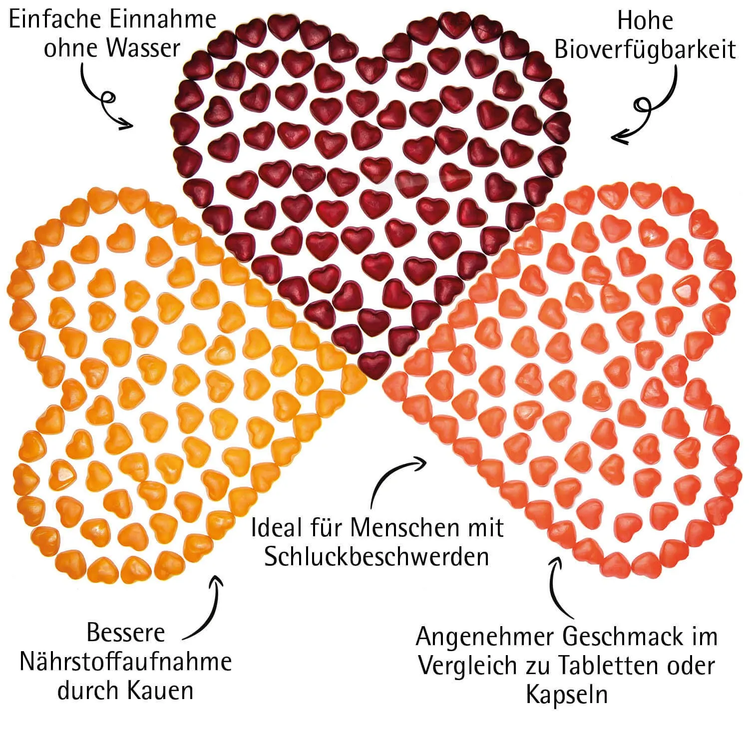 Multi Vitamin XL (Nahrungsergänzungsmittel)