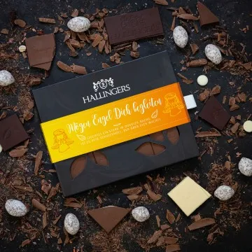 10x Mögen Engel Dich begleiten (Schokoladentafel, Vollmilch)